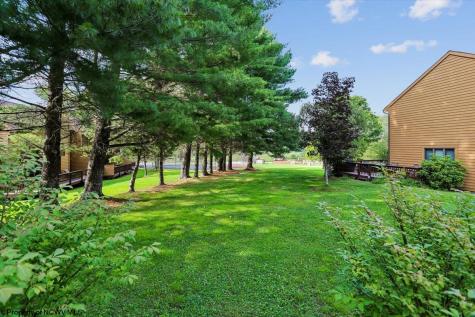 68 Deerfield Circle Davis WV 26260