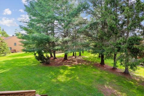 68 Deerfield Circle Davis WV 26260