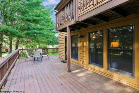 68 Deerfield Circle Davis WV 26260