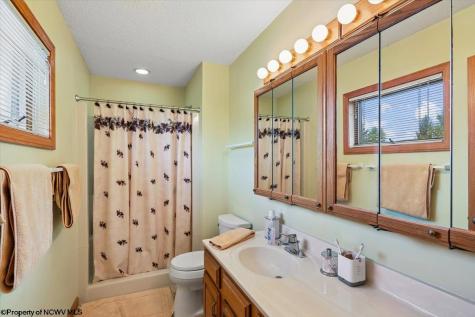 68 Deerfield Circle Davis WV 26260