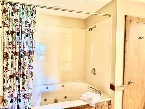 121 Grizzly Way Davis WV 26260