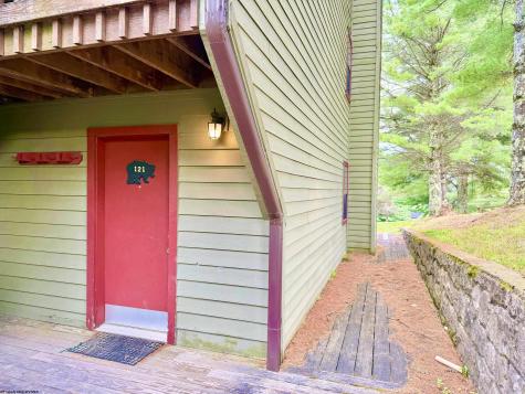 121 Grizzly Way Davis WV 26260