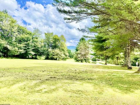 121 Grizzly Way Davis WV 26260