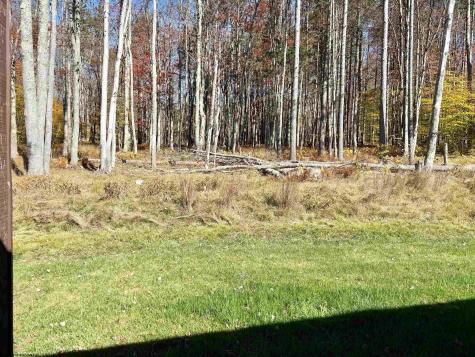 505 Woodside Drive Thomas WV 26292