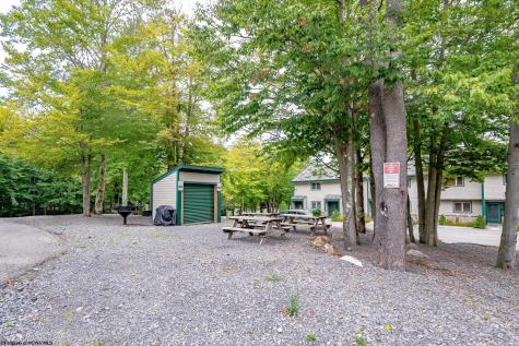 19 Snowflake Circle Davis WV 26260