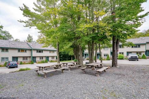 19 Snowflake Circle Davis WV 26260