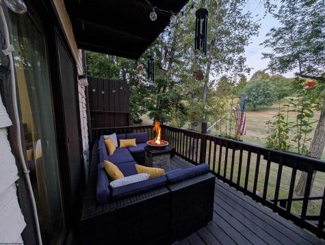 56 Baneberry Lane Terra Alta WV 26764-0000