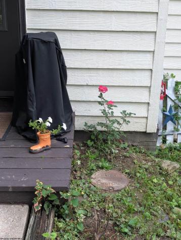 56 Baneberry Lane Terra Alta WV 26764-0000