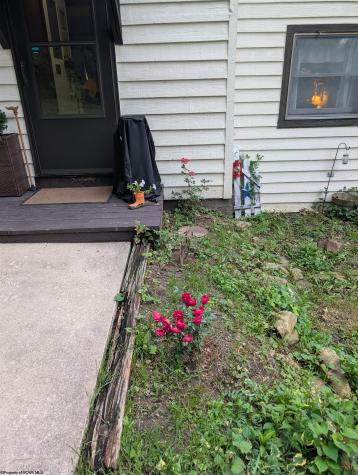 56 Baneberry Lane Terra Alta WV 26764-0000