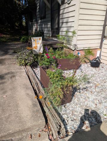 56 Baneberry Lane Terra Alta WV 26764-0000