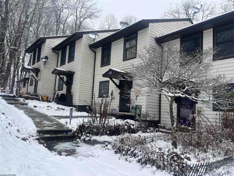56 Baneberry Lane Terra Alta WV 26764-0000