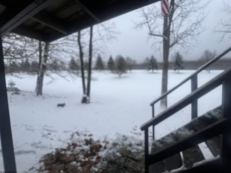 56 Baneberry Lane Terra Alta WV 26764-0000