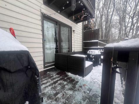 56 Baneberry Lane Terra Alta WV 26764-0000