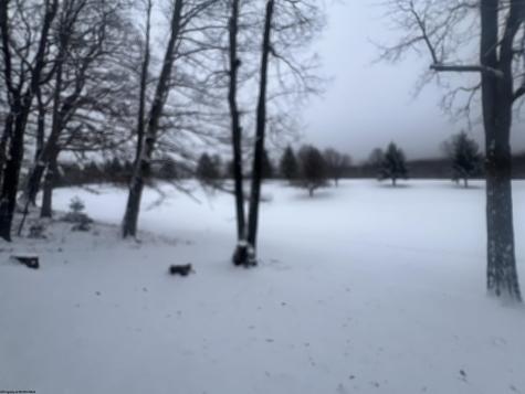 56 Baneberry Lane Terra Alta WV 26764-0000