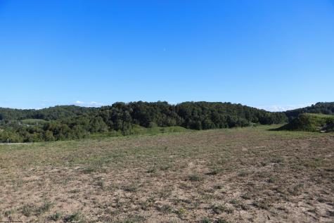 103 Willow Oak Drive Bridgeport WV 26330