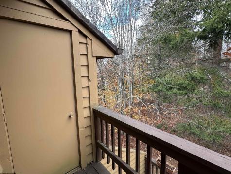 42 Deerfield Circle Davis WV 26260