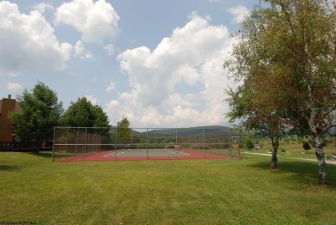 42 Deerfield Circle Davis WV 26260