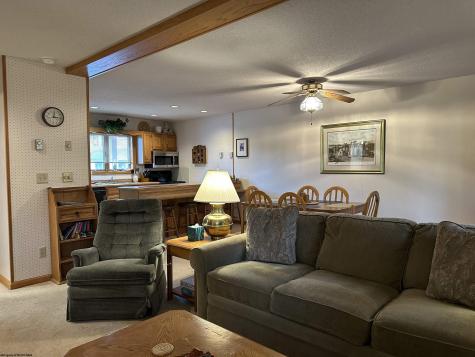 42 Deerfield Circle Davis WV 26260