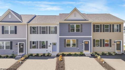 767 Mulligan Court Maidsville WV 26541