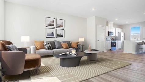 767 Mulligan Court Maidsville WV 26541