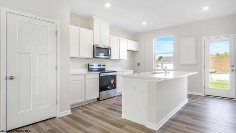 767 Mulligan Court Maidsville WV 26541