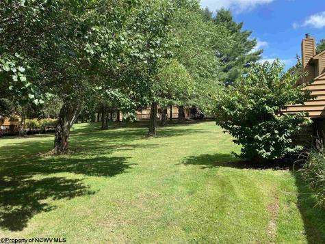 431 Deerfield Circle Davis WV 26260-0000