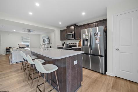 724 Mulligan Court Maidsville WV 26541