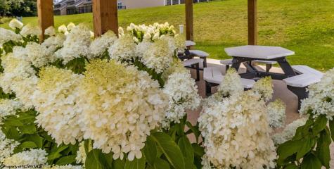 276 Red Oak Lane Morgantown WV 26501