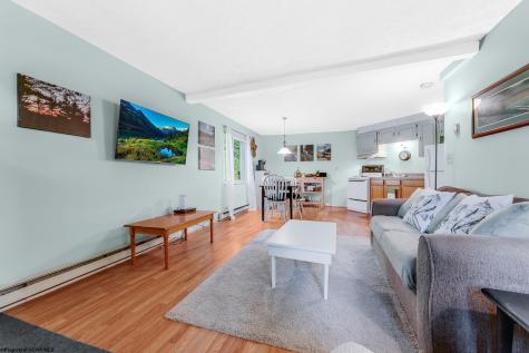 1724 Mosser Road Mchenry MD 21541