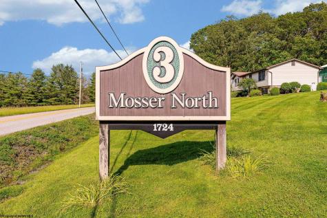 1724 Mosser Road Mchenry MD 21541