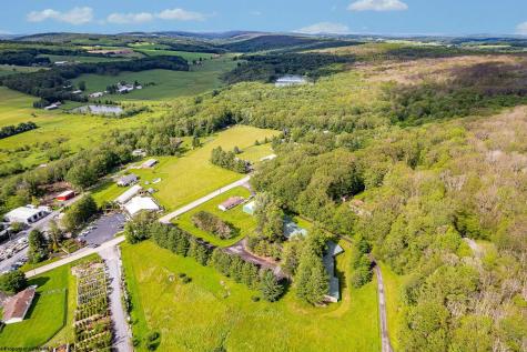 1724 Mosser Road Mchenry MD 21541