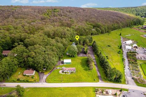 1724 Mosser Road Mchenry MD 21541