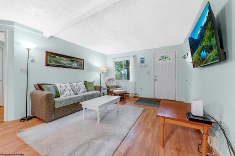 1724 Mosser Road Mchenry MD 21541