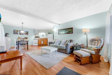 1724 Mosser Road Mchenry MD 21541