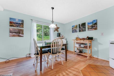 1724 Mosser Road Mchenry MD 21541