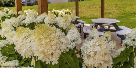 284 Red Oak Lane Morgantown WV 26501