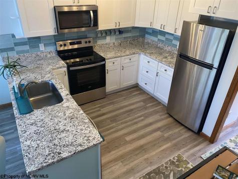 100 Deerfield Circle Davis WV 26260