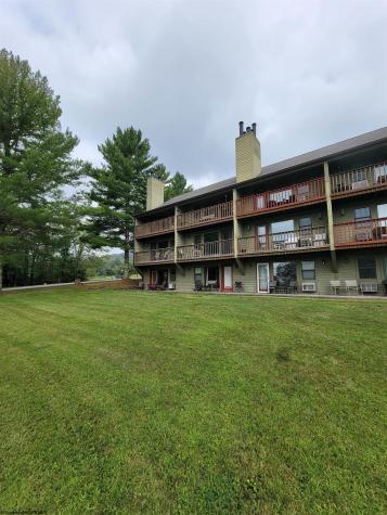 16 Grizzly Way Davis WV 26260