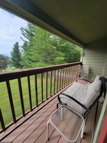 16 Grizzly Way Davis WV 26260