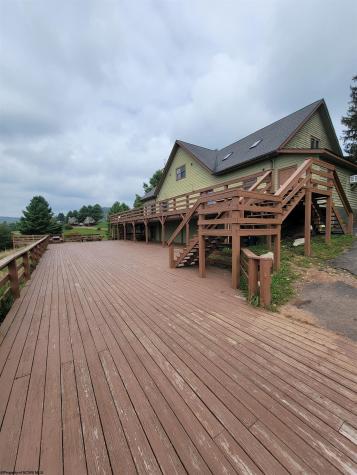 16 Grizzly Way Davis WV 26260
