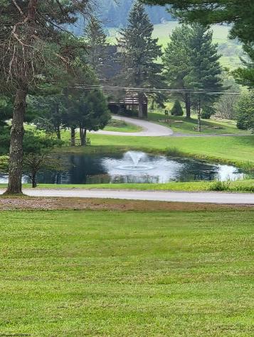 16 Grizzly Way Davis WV 26260