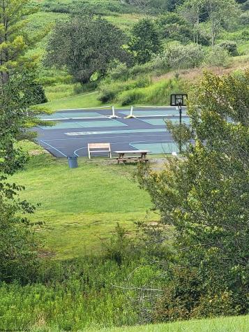 16 Grizzly Way Davis WV 26260