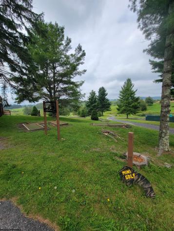 16 Grizzly Way Davis WV 26260