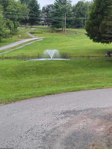 16 Grizzly Way Davis WV 26260