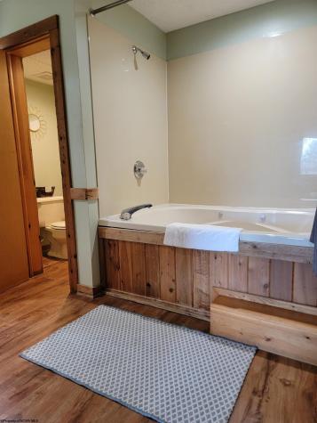 16 Grizzly Way Davis WV 26260