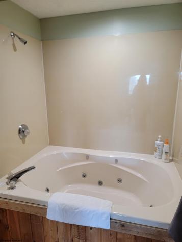 16 Grizzly Way Davis WV 26260