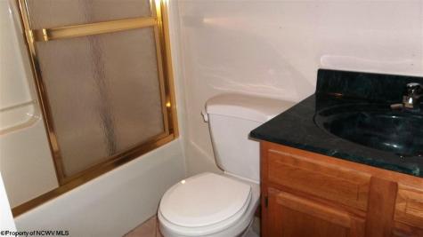 119 Hill Street Bridgeport WV 26330