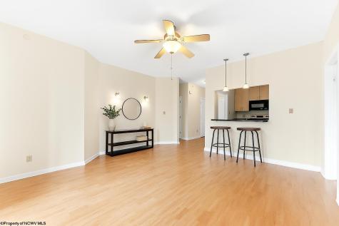 217 Fountain View Morgantown WV 26505