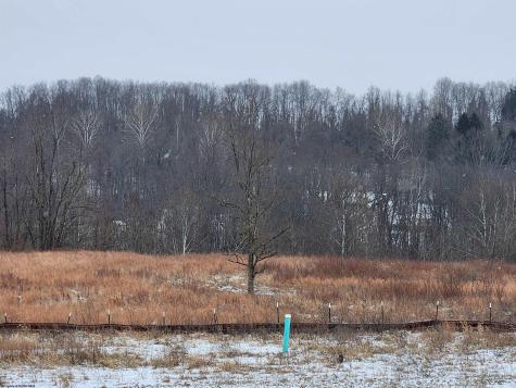 15 Erow Street White Hall WV 26554