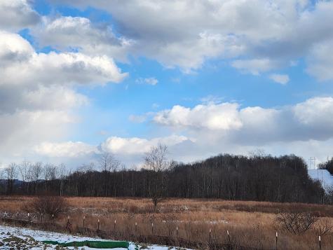 15 Erow Street White Hall WV 26554